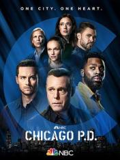 芝加哥警署 第九季 下载
